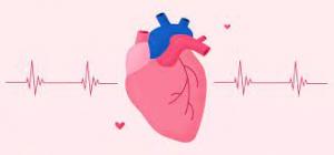Understanding Your Heart Beat